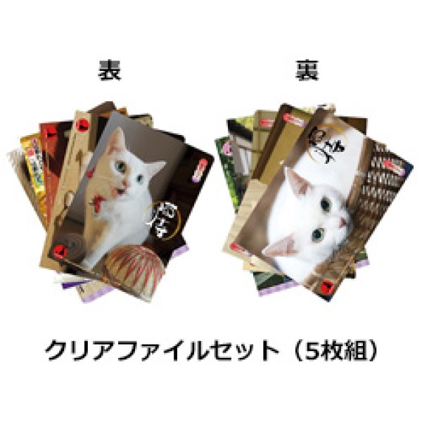 画像4: 「猫侍」グッズ全部入り 玉之丞さまの玉手箱セット (4)