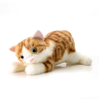 猫侍」グッズ全部入り 玉之丞さまの玉手箱セット｜AMG 