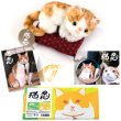 画像1: 「猫忍」湯あがり父上セット (1)