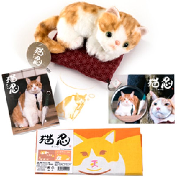 画像2: 「猫忍」湯あがり父上セット (2)