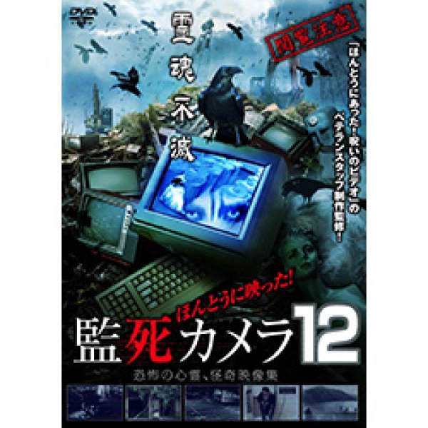 画像1: ほんとうに映った！監死カメラ12 (1)