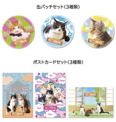 画像2: 『劇場版 ねこ物件』ねこまみれセット