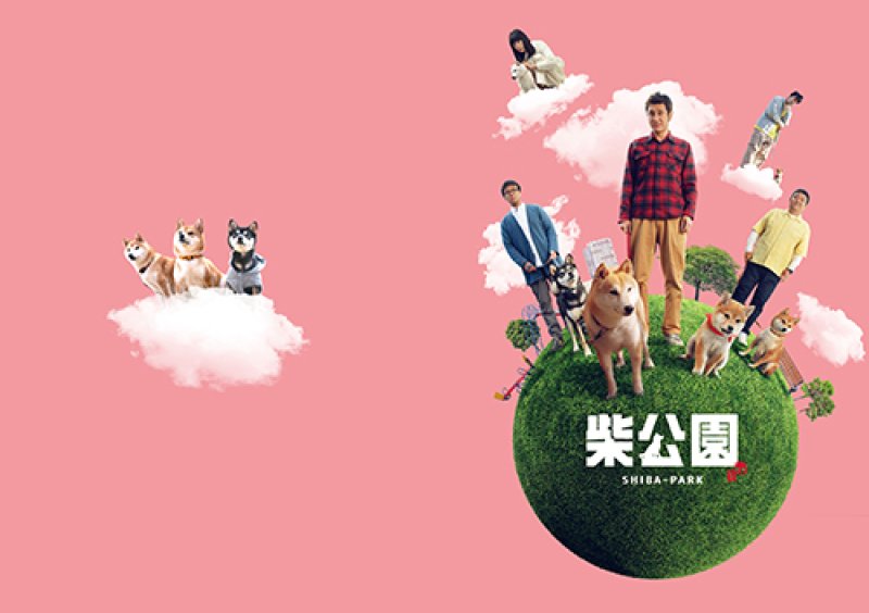 画像1: 劇場版『柴公園』パンフレット+クリアファイルセット