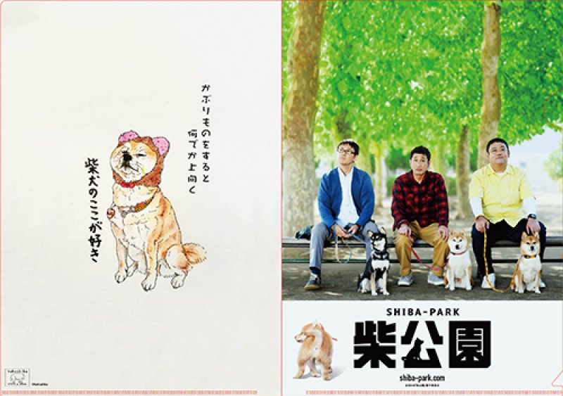 画像2: 劇場版『柴公園』パンフレット+クリアファイルセット