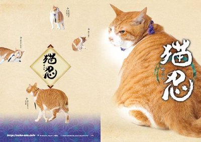 画像1: 劇場版『猫忍』パンフレット＋クリアファイルセット