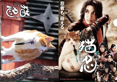 画像2: 劇場版『猫忍』パンフレット＋クリアファイルセット