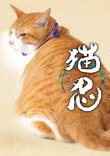 画像1: 劇場版『猫忍』パンフレット＋クリアファイルセット (1)