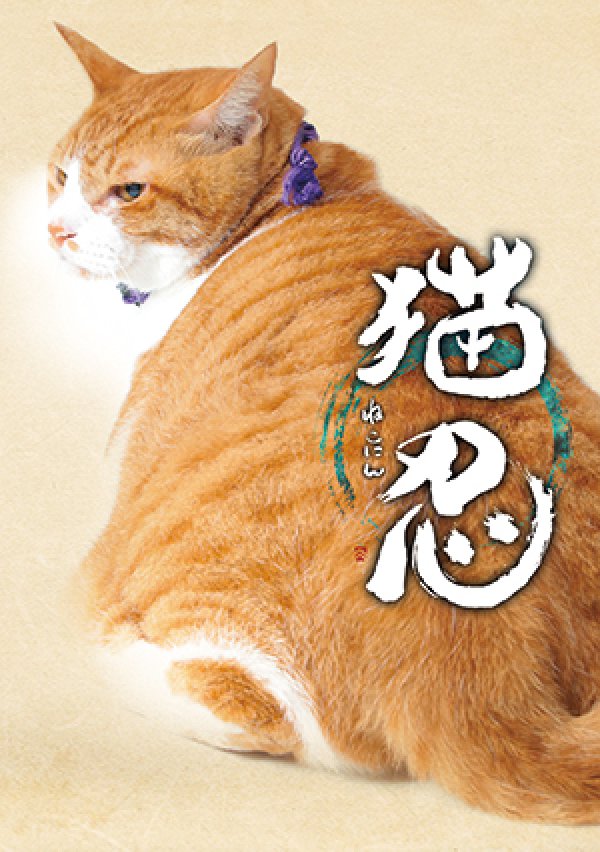 画像1: 劇場版『猫忍』パンフレット＋クリアファイルセット (1)