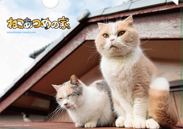 画像2: 映画『ねこあつめの家』パンフレット＋クリアファイルセット (2)