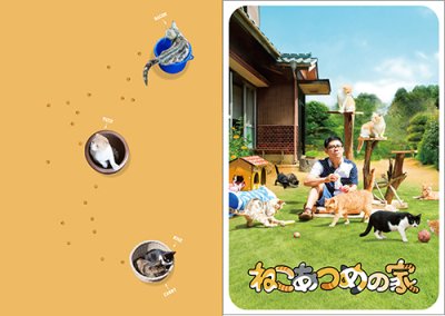 画像1: 映画『ねこあつめの家』パンフレット＋クリアファイルセット