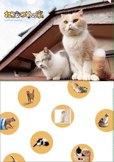 画像2: 映画『ねこあつめの家』パンフレット＋クリアファイルセット