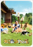 画像1: 映画『ねこあつめの家』パンフレット＋クリアファイルセット (1)