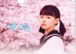 画像2: 映画『桜ノ雨』パンフレット＋クリアファイルセット (2)