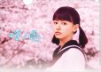 画像2: 送料無料！映画「桜ノ雨」パンフレット＋クリアファイルセット (2)