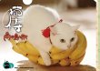画像2: 劇場版『猫侍 南の島へ行く』パンフレット＋クリアファイルセット (2)