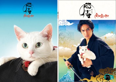 画像1: 劇場版『猫侍 南の島へ行く』パンフレット＋クリアファイルセット