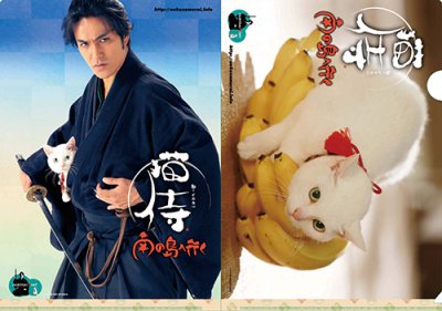 画像3: 劇場版『猫侍 南の島へ行く』パンフレット＋クリアファイルセット