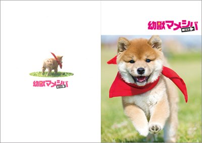 画像1: 劇場版『幼獣マメシバ 望郷編』パンフレット＋クリアファイルセット