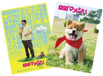画像2: 劇場版『幼獣マメシバ 望郷編』パンフレット＋クリアファイルセット