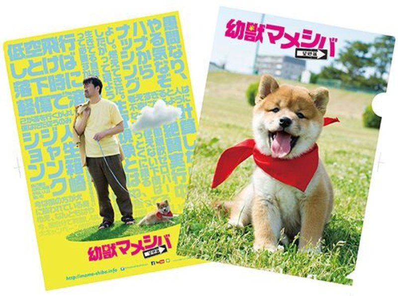 画像2: 劇場版『幼獣マメシバ 望郷編』パンフレット＋クリアファイルセット