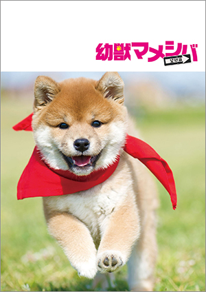 劇場版『幼獣マメシバ 望郷編』パンフレット＋クリアファイルセット